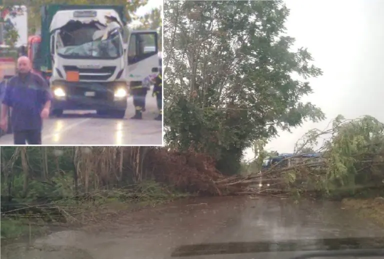 Alberi caduti, mezza provincia in tilt: paura su Provinciale e zona Asi. FOTO