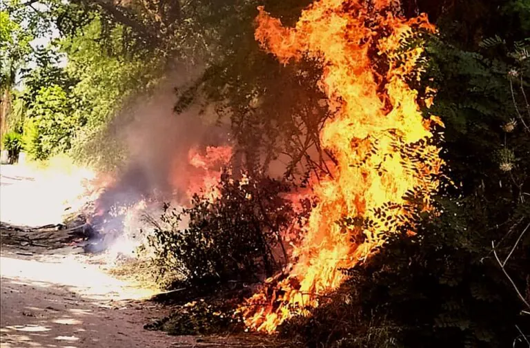 Beccati mentre appiccavano incendi nel Parco Regionale