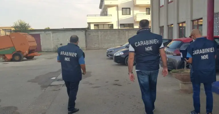 FOTO E VIDEO. Smaltimento illecito, retata nel Casertano: nei guai titolari e operai della ditta