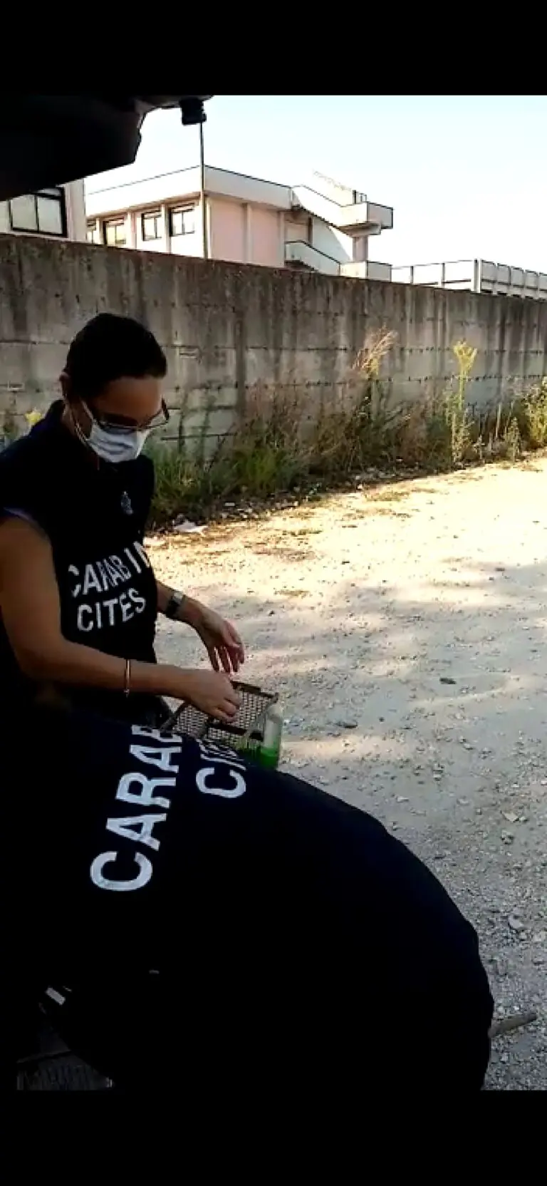 Catturano avifauna protetta: 2 arrestati e 4 nei guai nell’agro