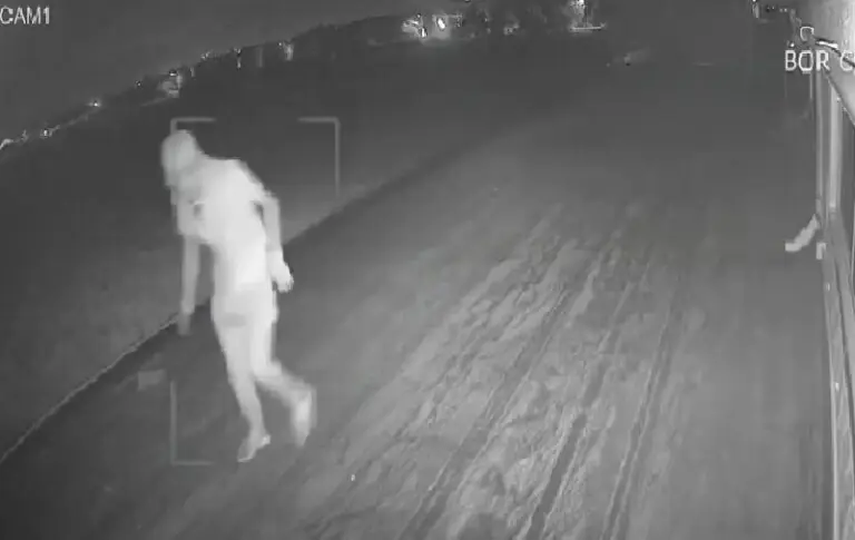 Assalto all’azienda di giocattoli, ladri messi in fuga. IL VIDEO