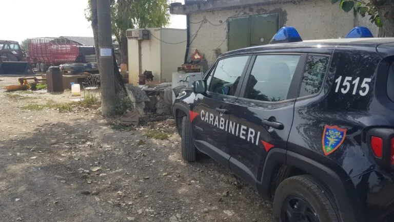 Inquinamento ambientale, sequestrata azienda bufalina