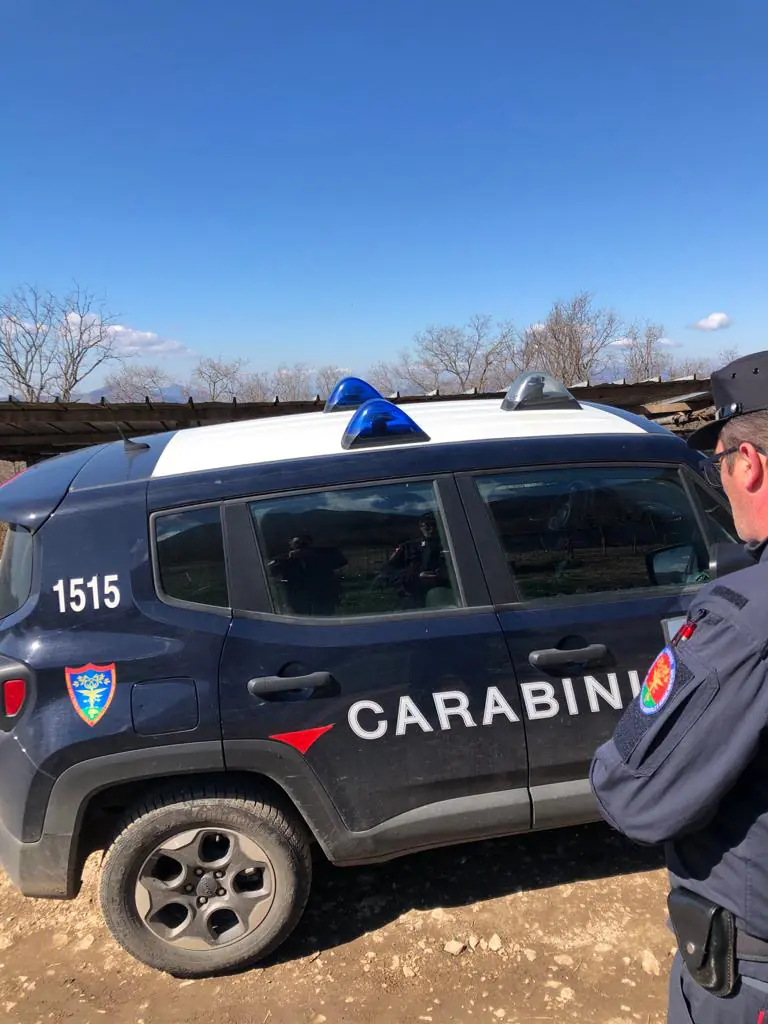 Carabinieri scoprono gara di cross illegale: comandante travolto da moto, finisce nella scarpata