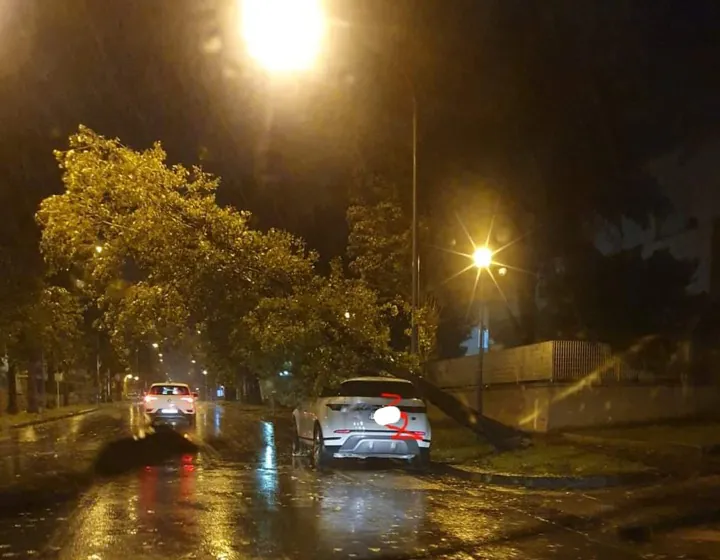 Raffiche di vento, albero cade su un suv