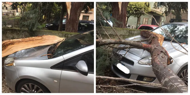 Albero cade su una vettura nella piazzetta: residenti furiosi