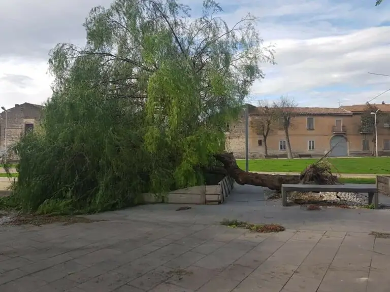 Bufera si abbatte su Anfiteatro e Arco: “Non uscite di casa”. Sospesi pure tamponi