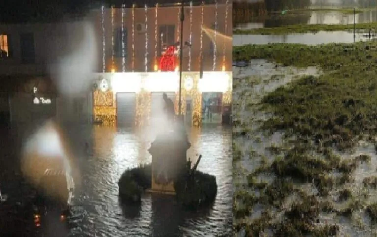 Bomba d’acqua sul Casertano, olive sepolte dal fango: raccolta stroncata