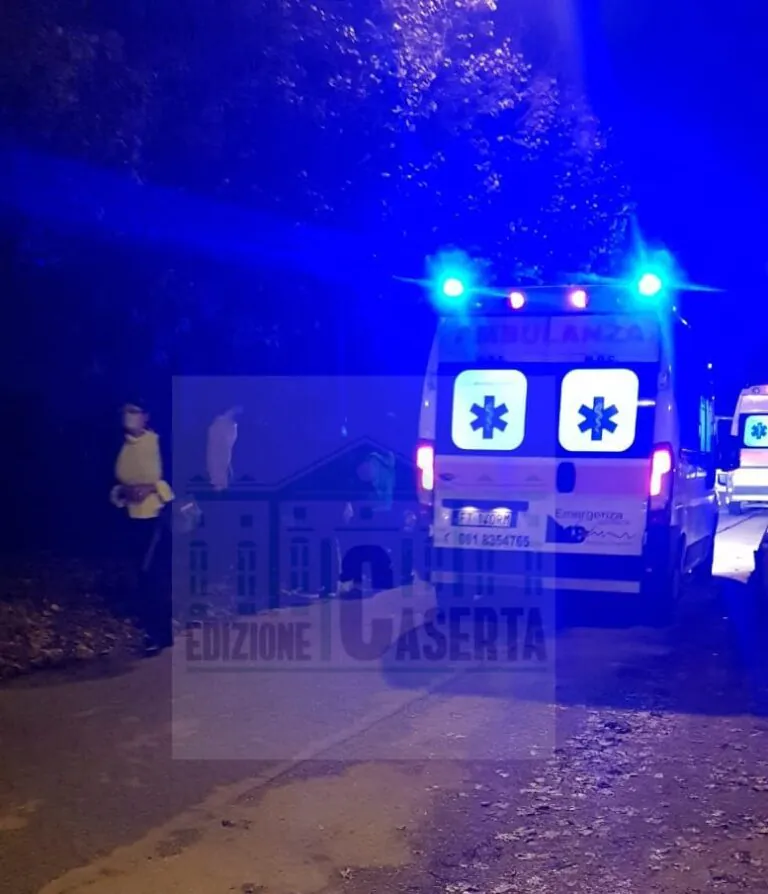Auto con 3 ragazzi si schianta per evitare cane