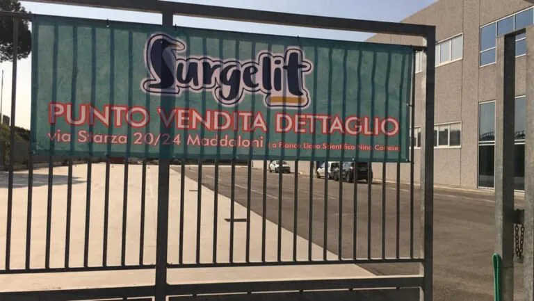 Ladri in azione, svaligiato negozio di surgelati
