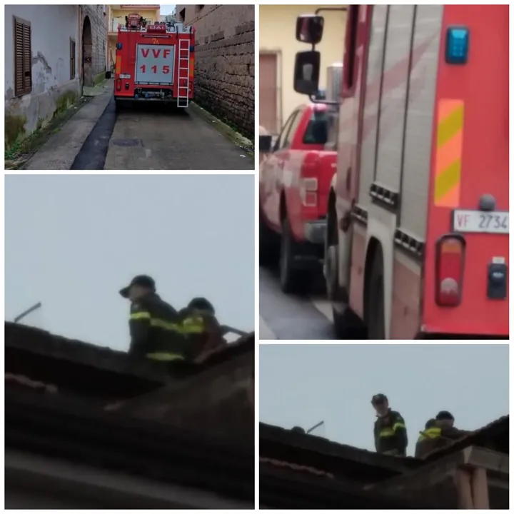 Cane intrappolato: arrivano i vigili del fuoco