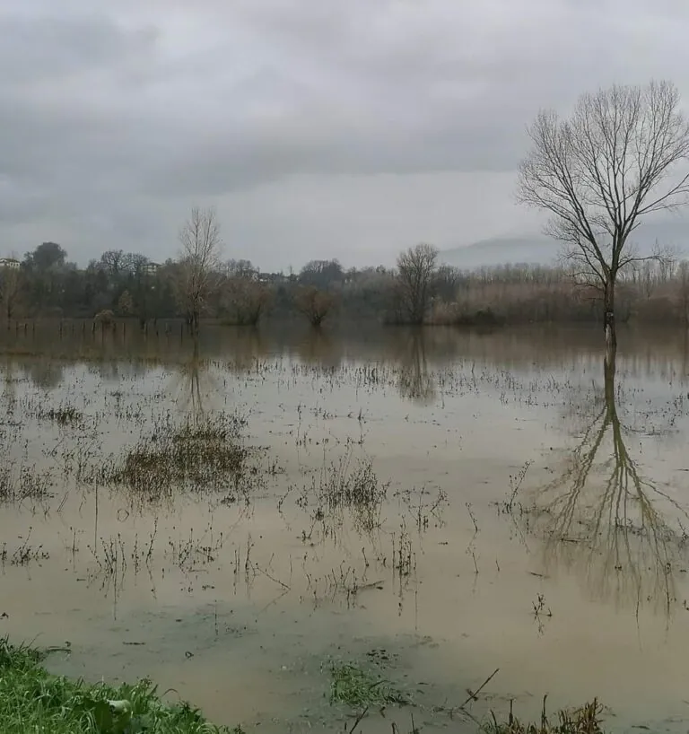 Maltempo, Basso Volturno in ginocchio: danneggiate aziende agricole
