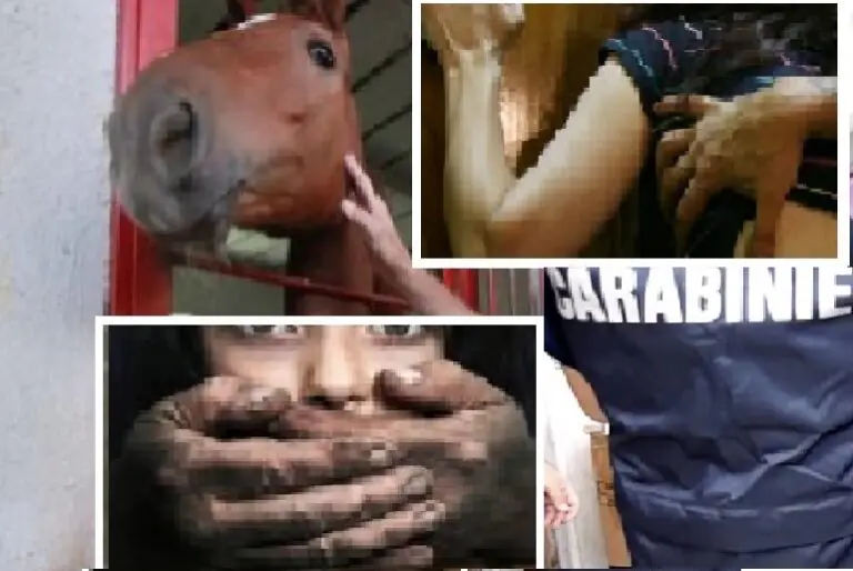 Orrore nel maneggio: istruttore arrestato per violenza sessuale sulle piccole allieve