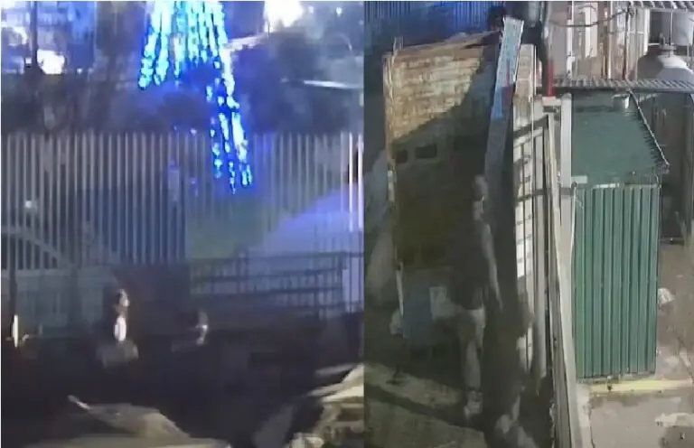 Natale da reclusi, ma i ladri escono: 4 incappucciati all’assalto dell’azienda. IL VIDEO