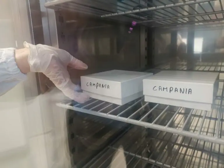In Italia già mezzo milione di vaccinati. Campania al primo posto. I NUMERI