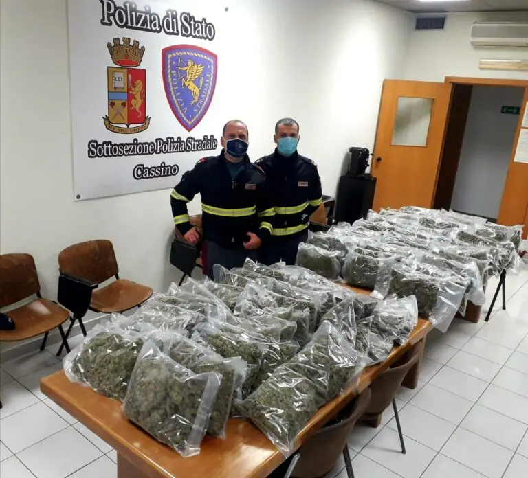 Beccato mentre torna nel Casertano con 53 chili di marijuana. FOTO