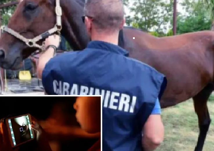 Abusi al maneggio, la chat dell’orrore: videochiamate notturne a ragazzine e spogliarelli