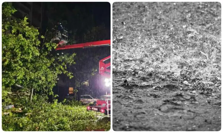 Alberi sradicati e muri crollati: i danni del maltempo nel casertano