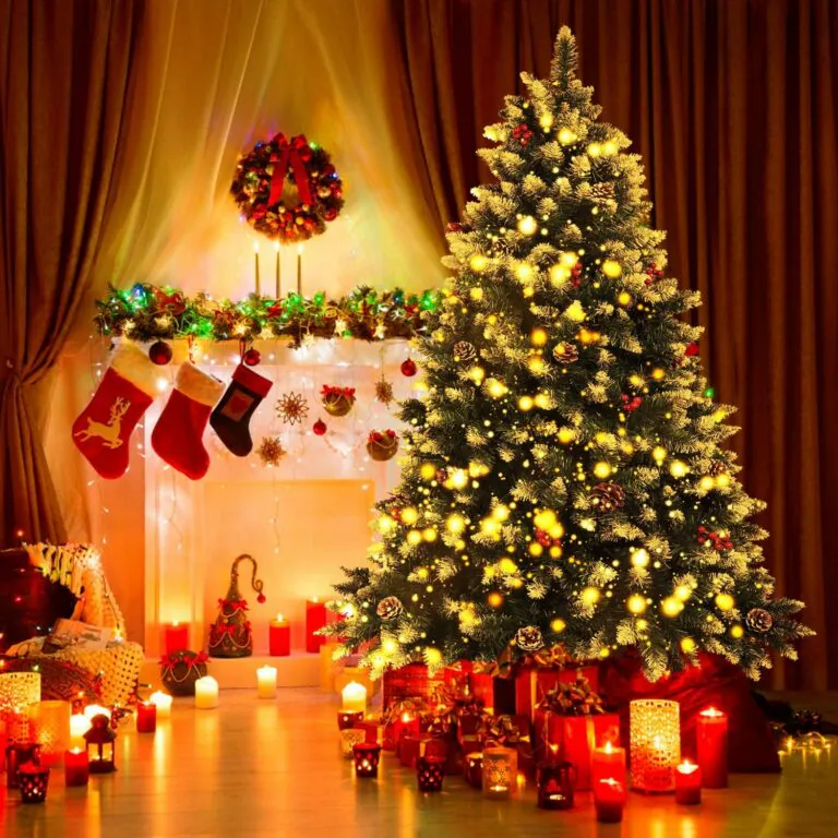 Contest di Natale: “Scegli il tuo albero preferito”
