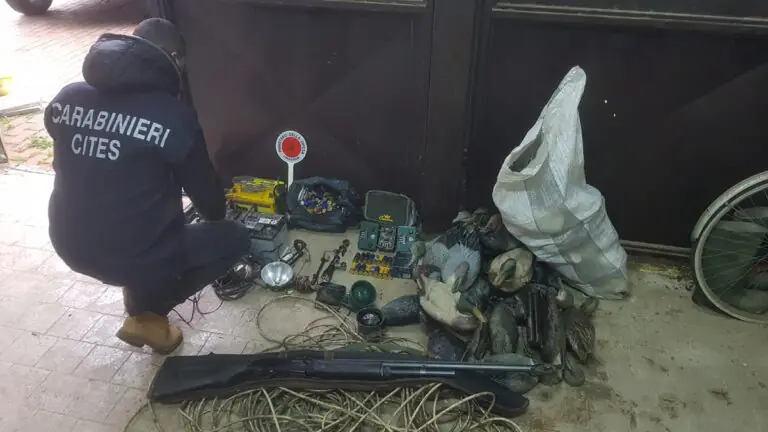 Blitz contro il bracconaggio, scatta il sequestro da parte della forestale