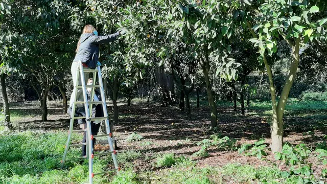 Progetto ecosostenibile e di impegno sociale Reggia di Caserta/cooperativa EVA