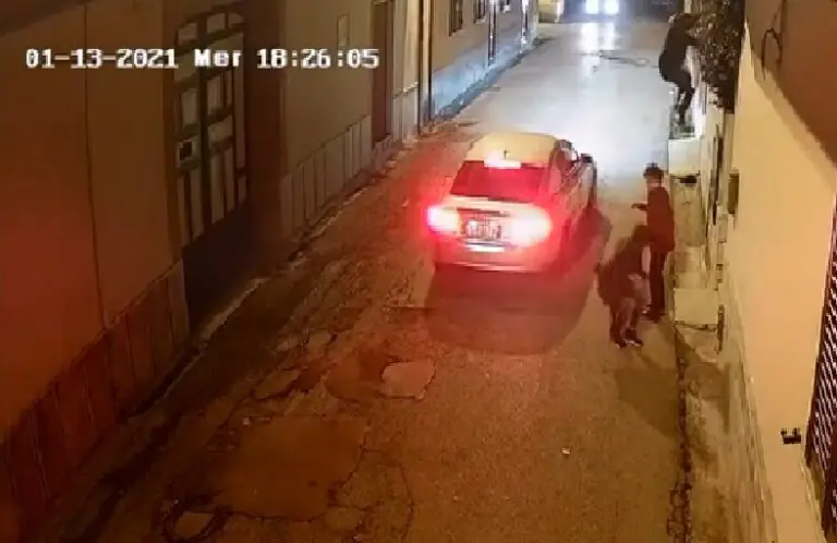 Anziana sorprende ladri acrobati in azione. IL VIDEO DEL COLPO CHOC