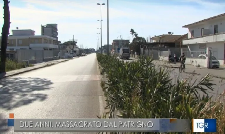 Bimbo di 2 anni ucciso a frustate dal patrigno: la disperazione della madre