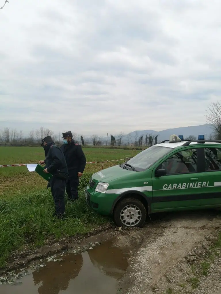 Blitz dei militari nell’azienda, allevatore finisce nei guai. FOTO
