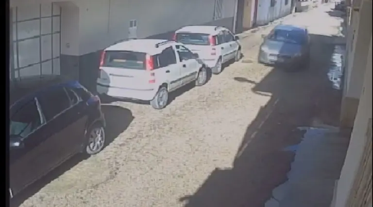 Investe e uccide cane e poi scappa via. IL VIDEO CHOC