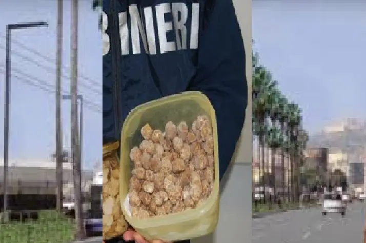 Truffa al supermercato gourmet, tartufo venduto a 2mila euro al chilo: “Ma è di Avellino”