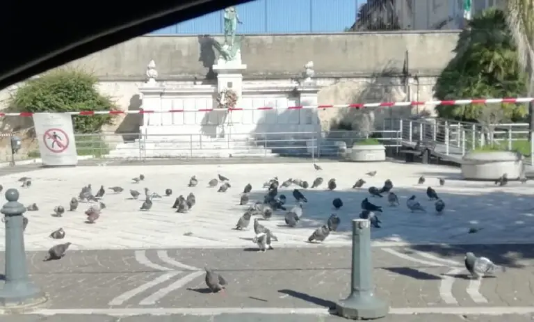 Contagi e super zona rossa, piazze chiuse ai cittadini. E piccioni ne approfittano