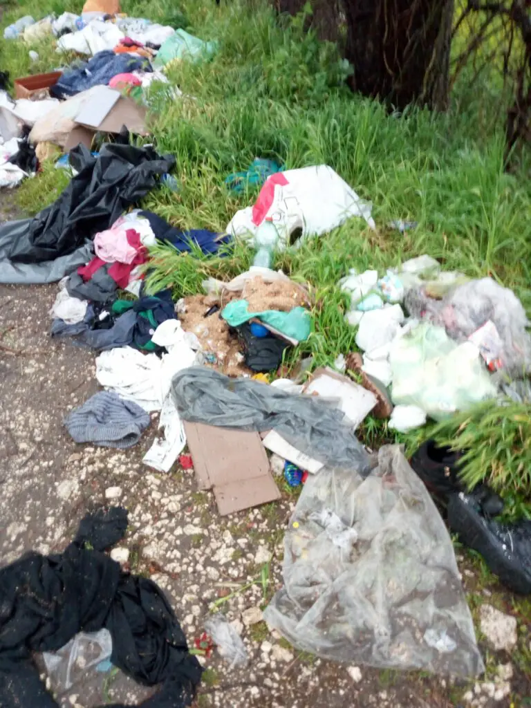 Raid nella zona ospedaliera e a ridosso del ring verde. FOTO E VIDEO