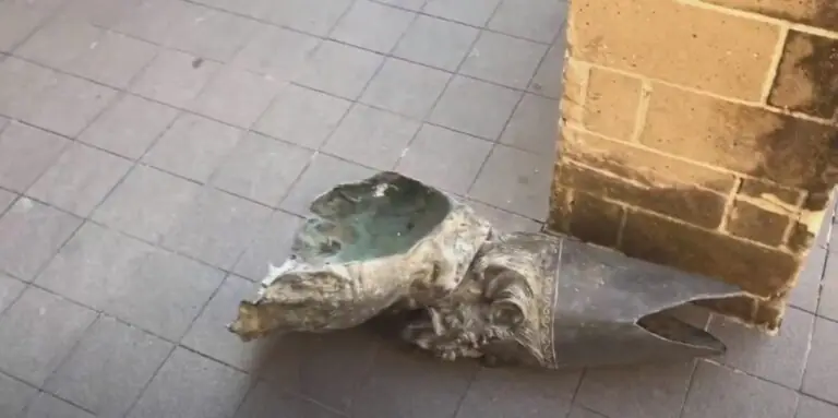 Raid alla chiesa di San Martino: tranciato il busto del santo. IL VIDEO