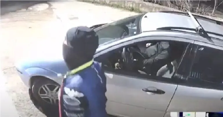 Banda di incappucciati all’assalto della ditta di costruzioni. IL VIDEO