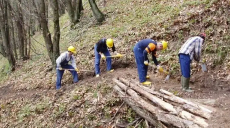 Operai forestali sul lastrico: dopo 3 anni li hanno messi in un angolo