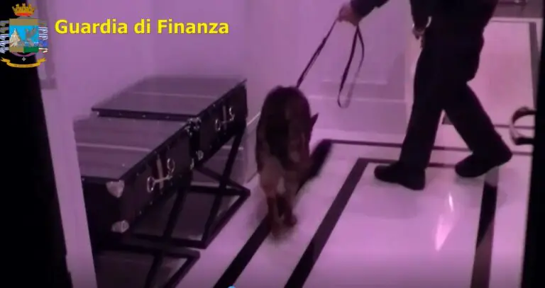 Arrestato il nipote del boss Schiavone, intercettazioni svelano business