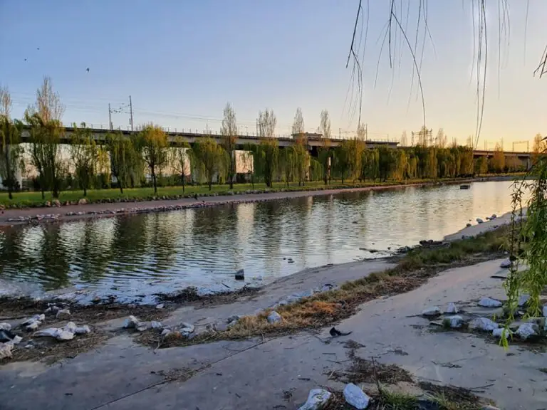 Centinaia di giovani per Pasquetta al Ring Verde tra alcol, tuffi e assembramenti: piombano i vigili