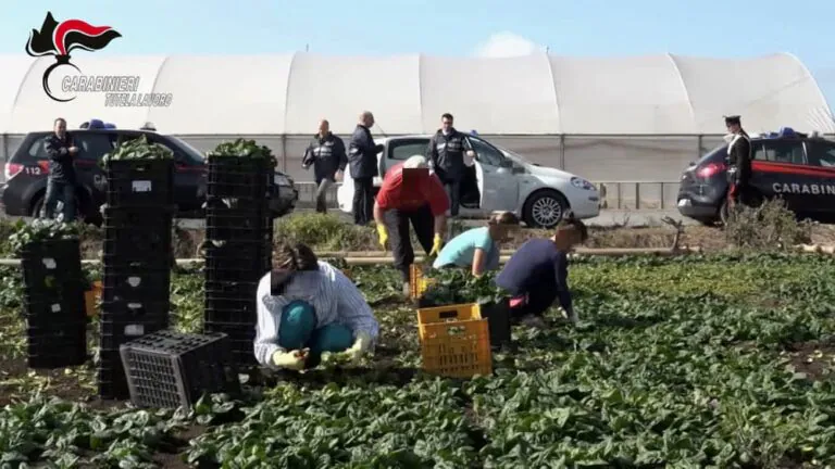 Pagati 4 euro all’ora per lavorare 7 giorni su 7 nei campi: arrestati due imprenditori