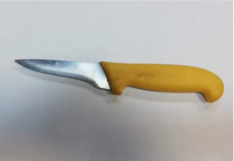Assalto al camion e fuga col coltello, svolta dopo l’accusa
