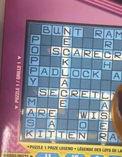 Litiga con il marito indebitato per il gioco: lo sfida, compra biglietto e il finale è incredibile