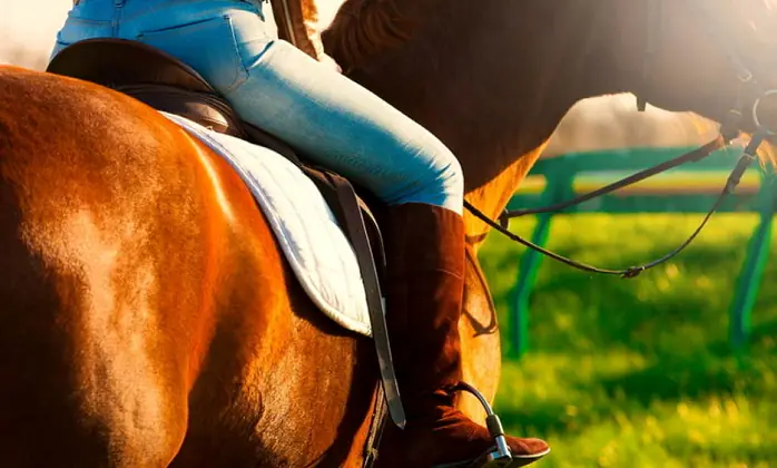 Cade da cavallo al maneggio, giovanissimo finisce all’ospedale