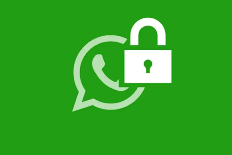 Nuovo trucco su whatsapp: si può diventare invisibili
