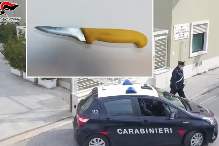 Carabinieri vanno in casa perchè ha ospiti, lei li accoglie col coltello da cucina: arrestata