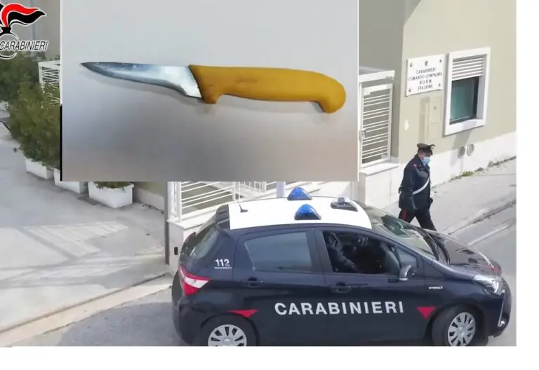 Entra nel bar col coltello e vuole pugnalare il titolare