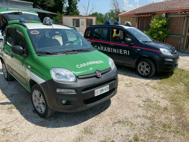 Blitz in una falegnameria del parente del ras dei Belforte