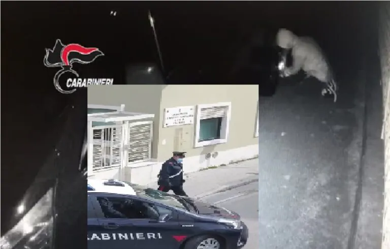 NOME E DETTAGLI. Brucia auto dell’ex, video immortala tutto: è già sotto processo