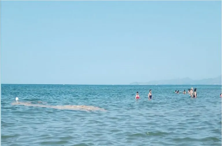 Macchia scura in mare, bagnanti in fuga dall’acqua. FOTO E VIDEO