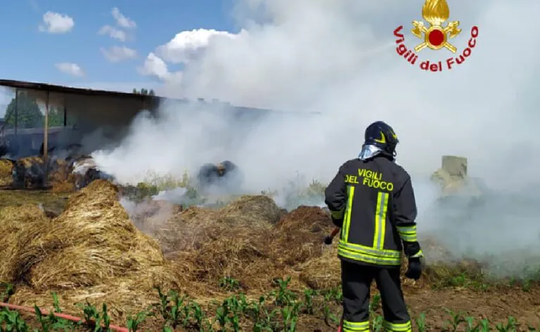 Incendio distrugge azienda agricola: animali tratti in salvo
