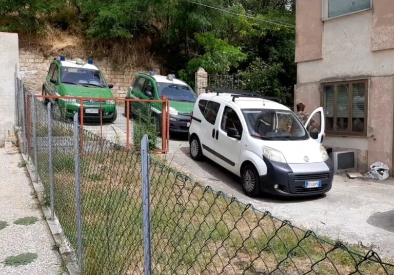 Trovato deposito con gazze e cardellini, responsabile rischia 30mila euro di multa. FOTO