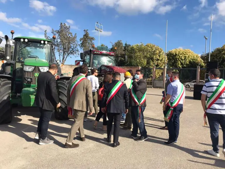 Bufale abbattute senza motivo, Comune in tribunale con gli allevatori: “Erano sane”