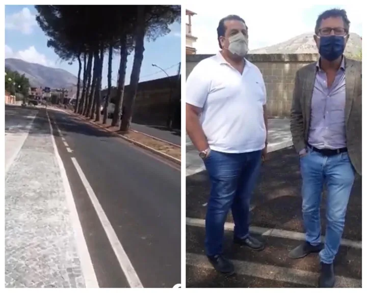 Cocos al posto dei Pini, ambientalista chiama il consigliere Borrelli. Confronto con il sindaco. IL VIDEO